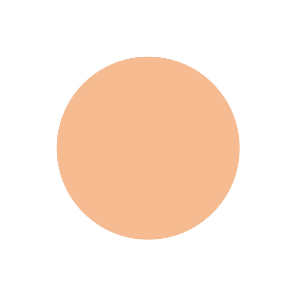 SHISEIDO UV Protective Compact Foundation Medium Ivory (Refill)
