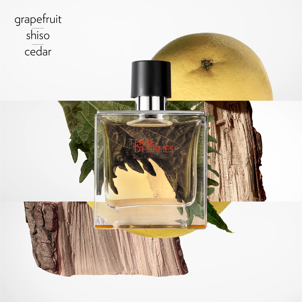 Terre d'Hermès, Terre d’Hermès Parfum